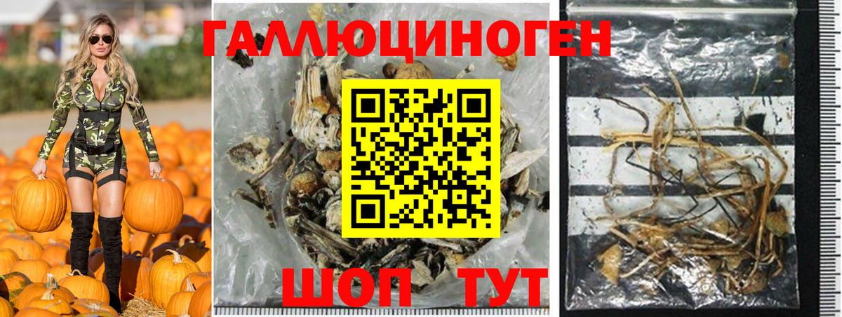 Галлюциногенные грибы Magic Shrooms  где найти наркотики  Дзержинск  Вход с VPN 